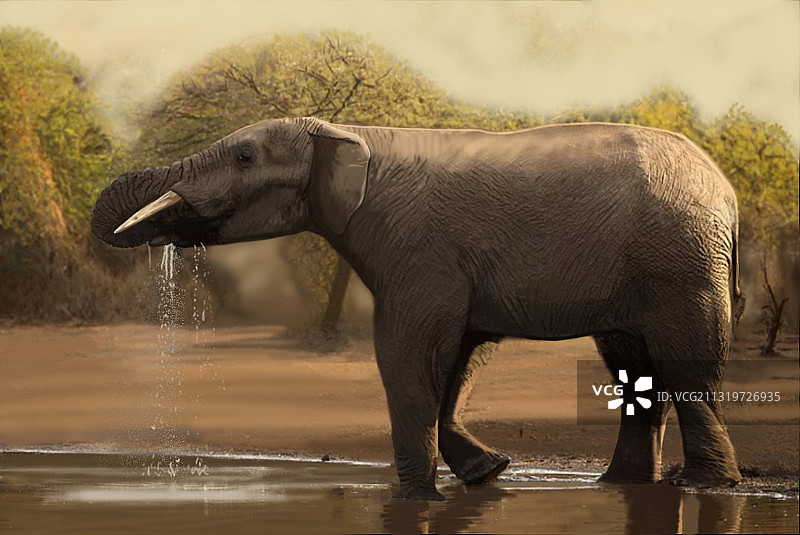 狭齿嵌齿象，中新世长鼻类动物图片素材