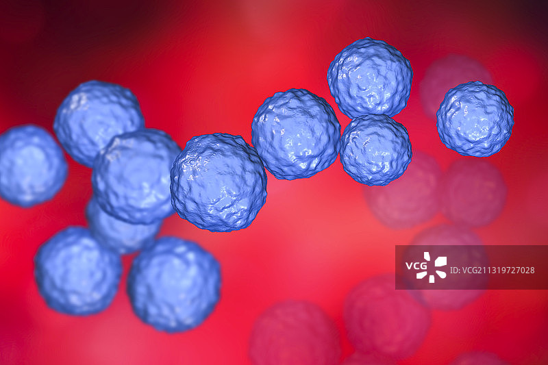 粪肠球菌细菌插图图片素材