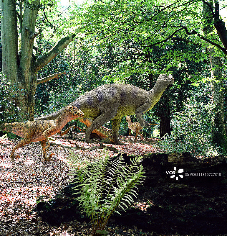 禽龙和恐爪龙图片素材