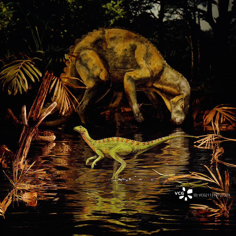 棱齿龙和禽龙图片素材