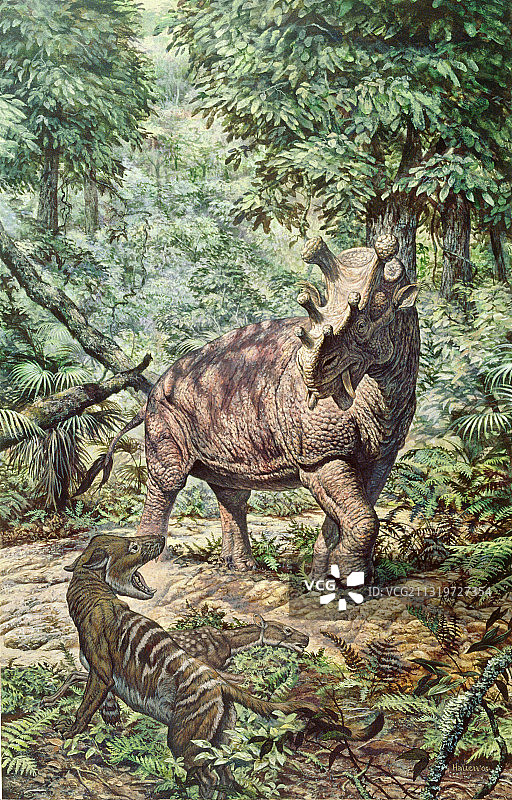 始新世哺乳动物图片素材