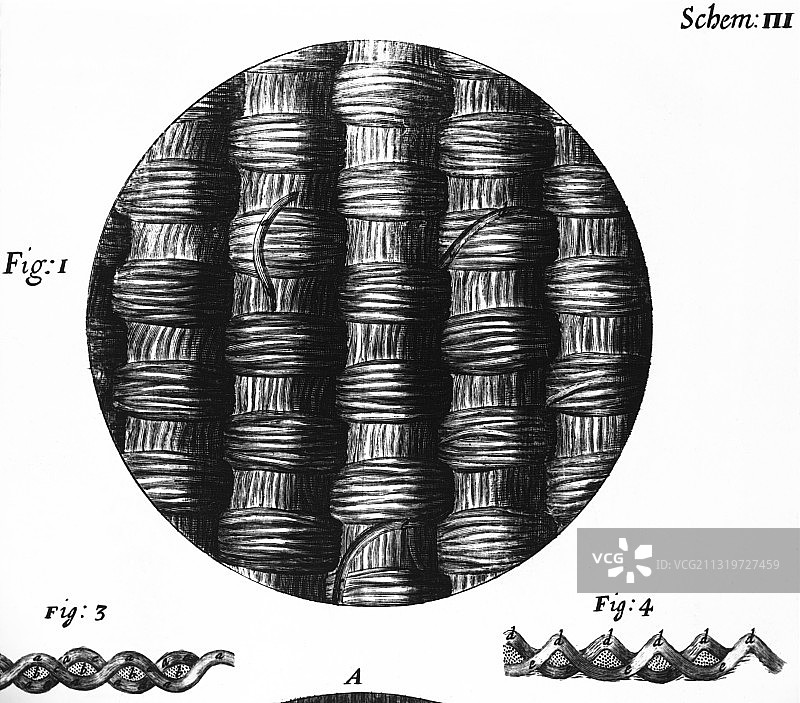 胡克的塔夫绸图片素材