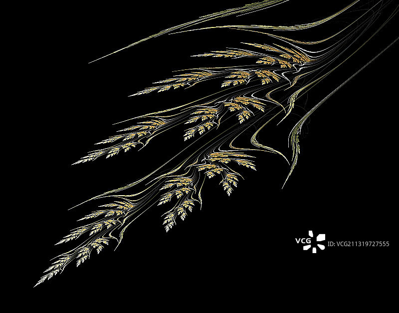 分形图像图片素材