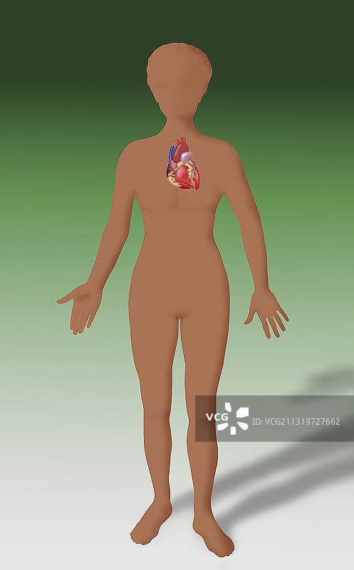 心形插画图片素材