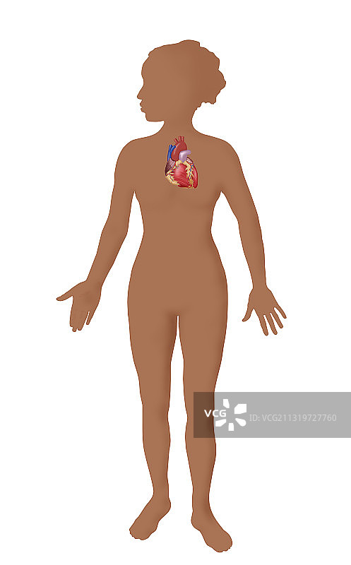 心形插画图片素材