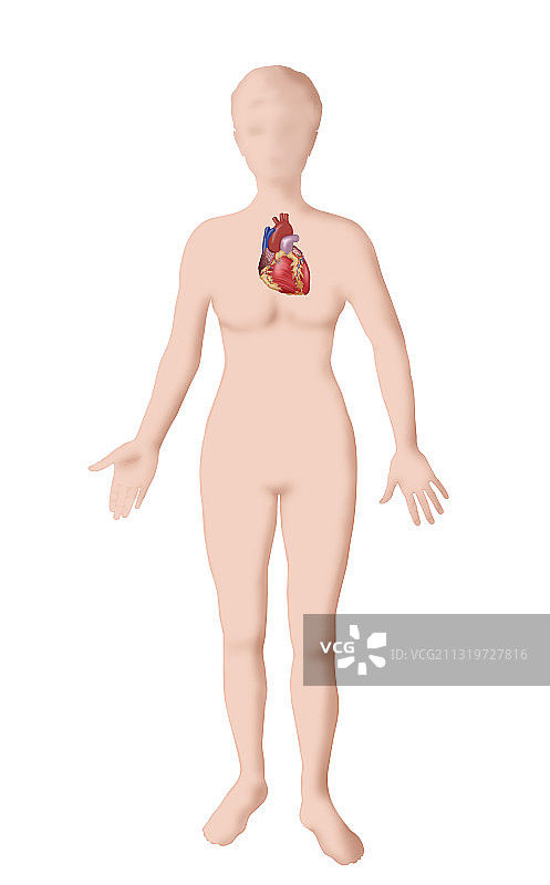 心形插画图片素材