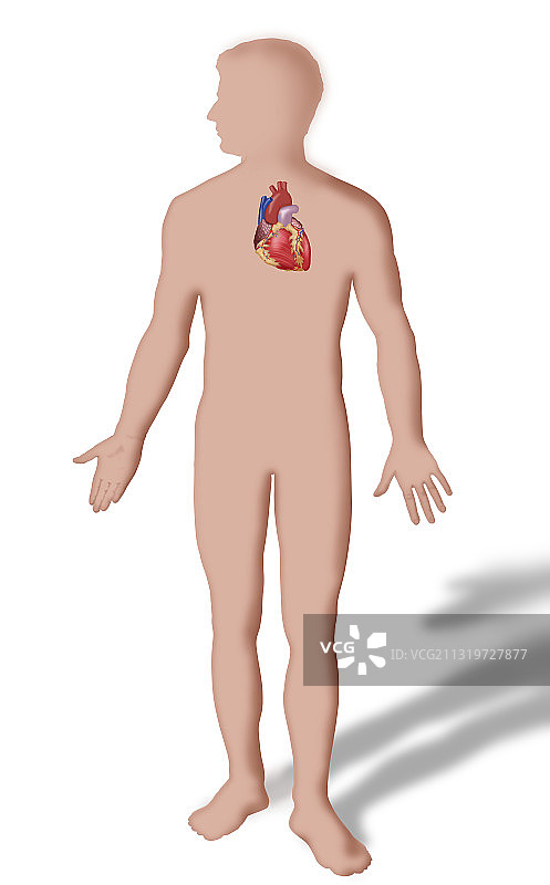 心形插画图片素材