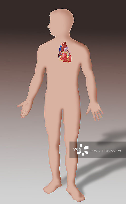 心形插画图片素材