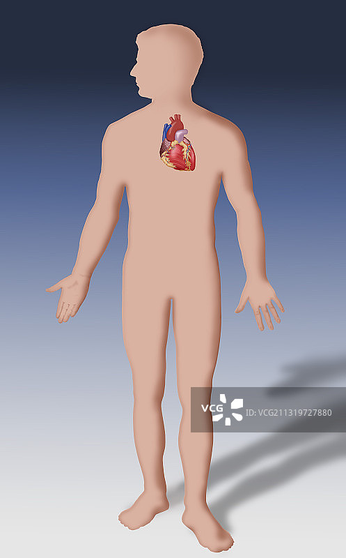 心形插画图片素材