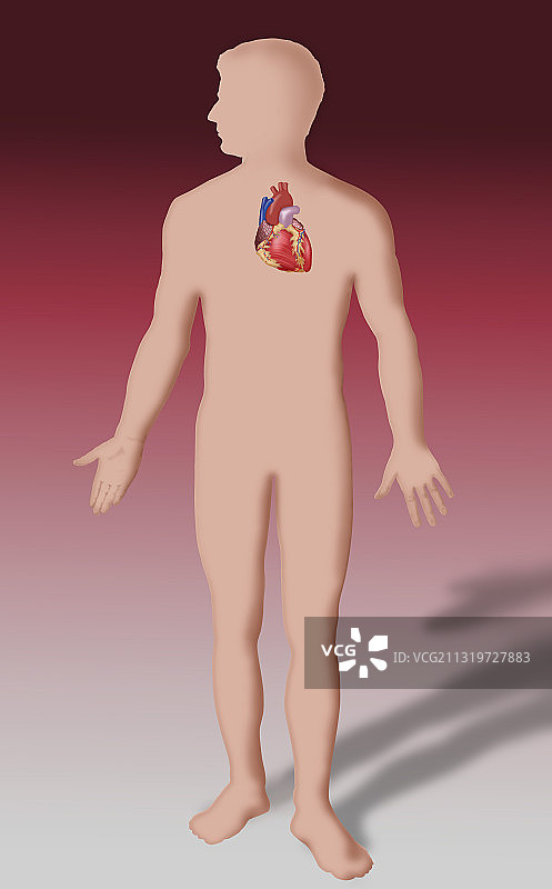 心形插画图片素材