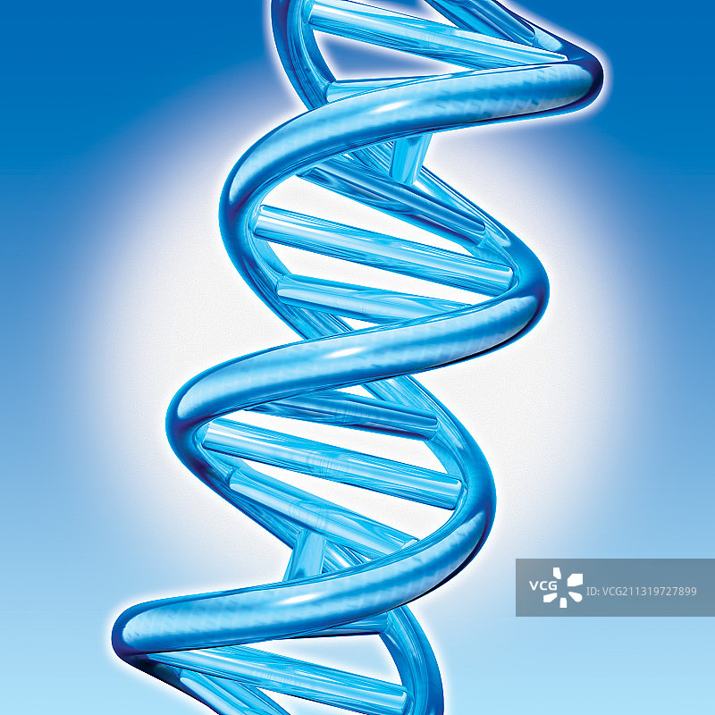 DNA双螺旋图片素材