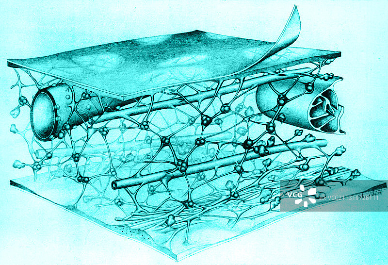 小梁网格图片素材