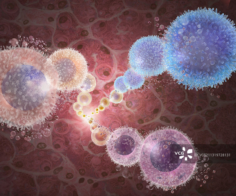 人类干细胞图片素材