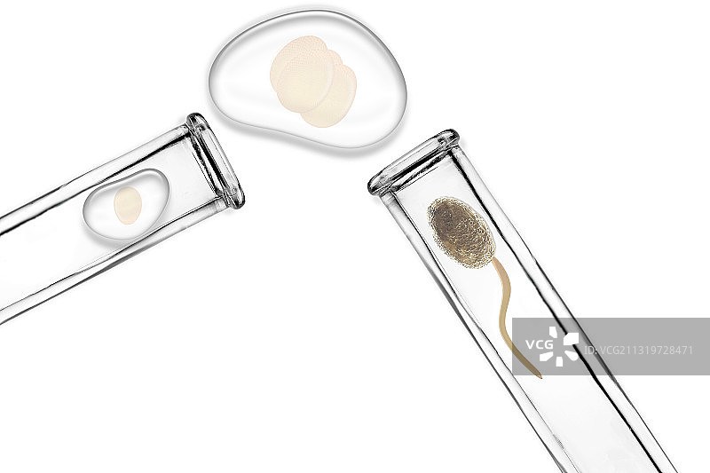 体外受精图片素材