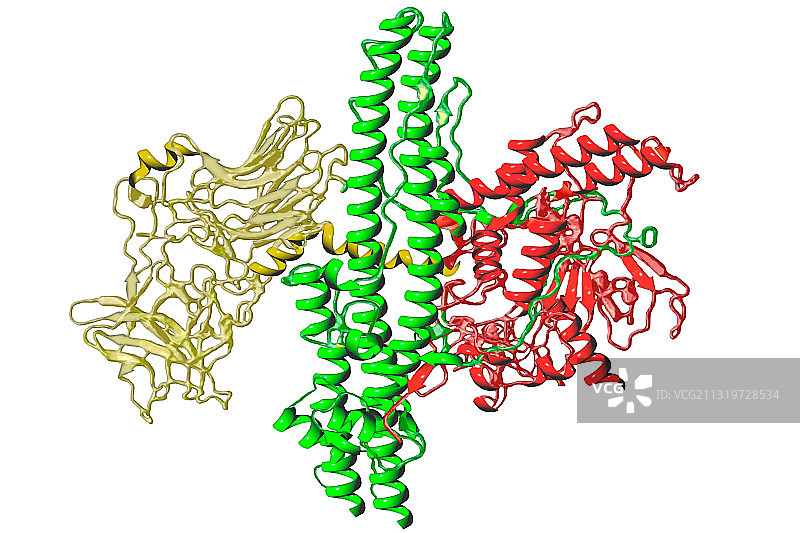肉毒杆菌毒素图片素材