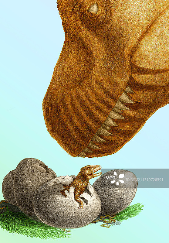 恐龙和蛋图片素材