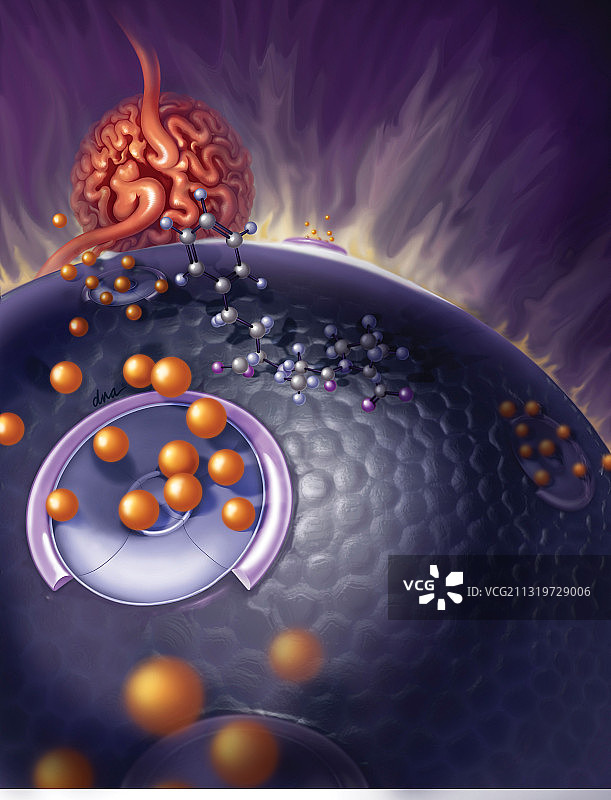 高血压联合疗法图片素材