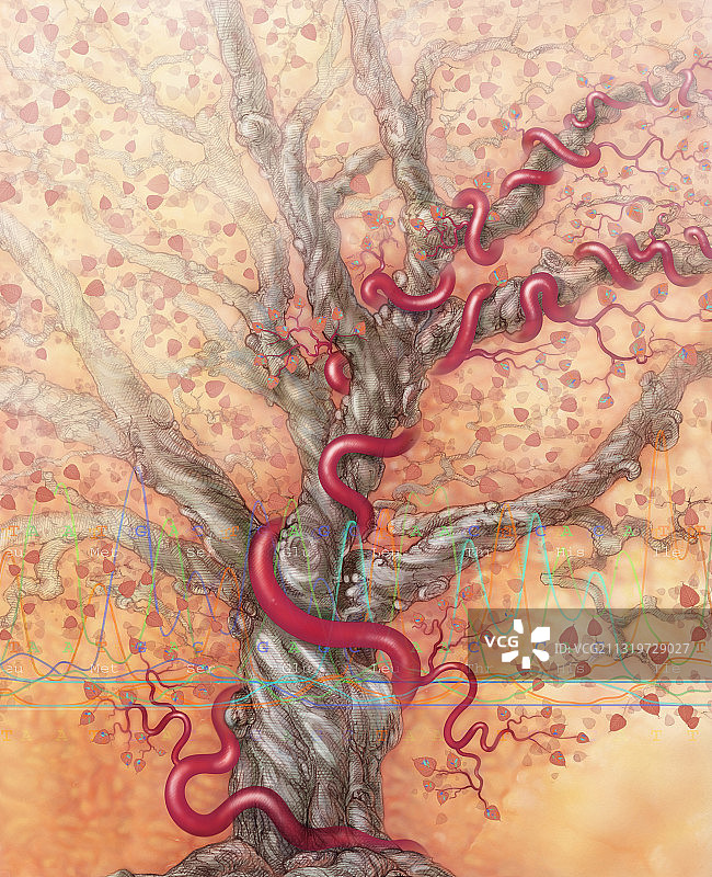 高遗传风险图片素材