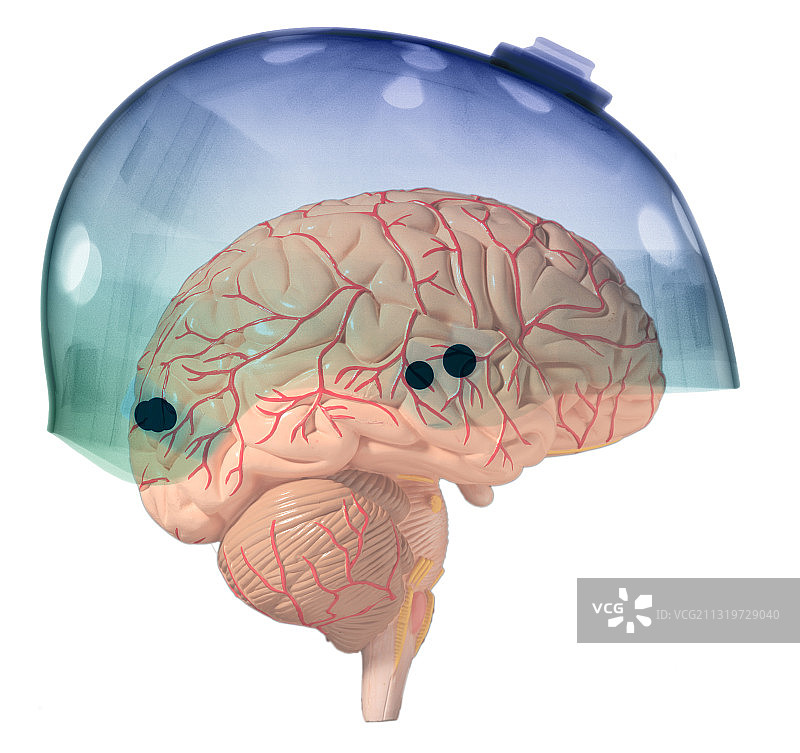 滑板头盔中的大脑图片素材