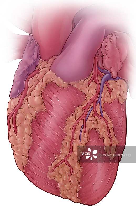 心形插画图片素材