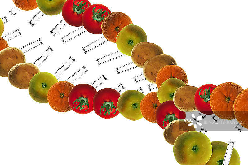 转基因食品艺术作品图片素材