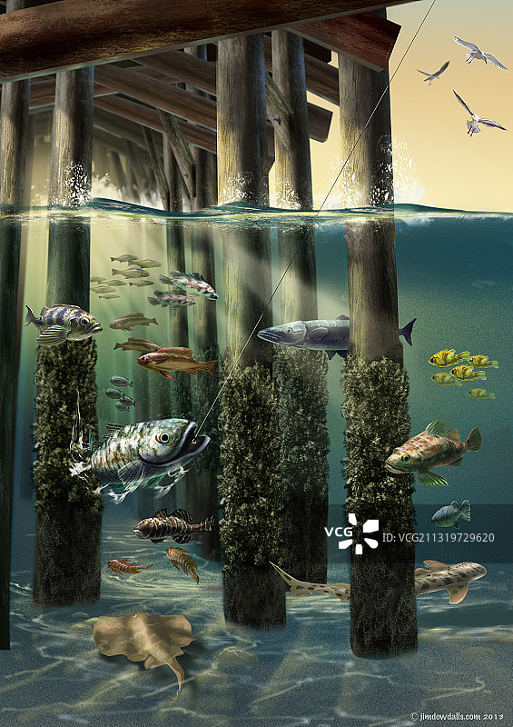 海洋码头下的生活图片素材