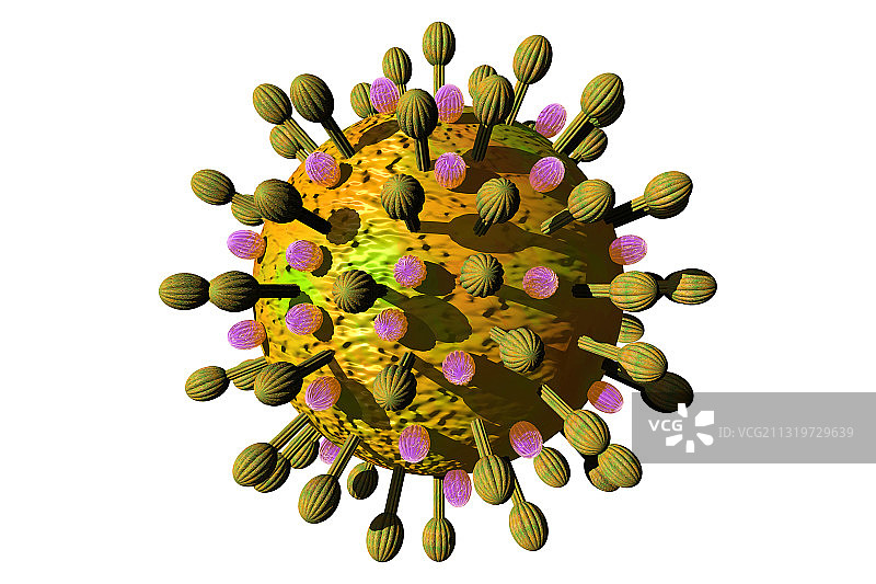 冠状病毒图示图片素材