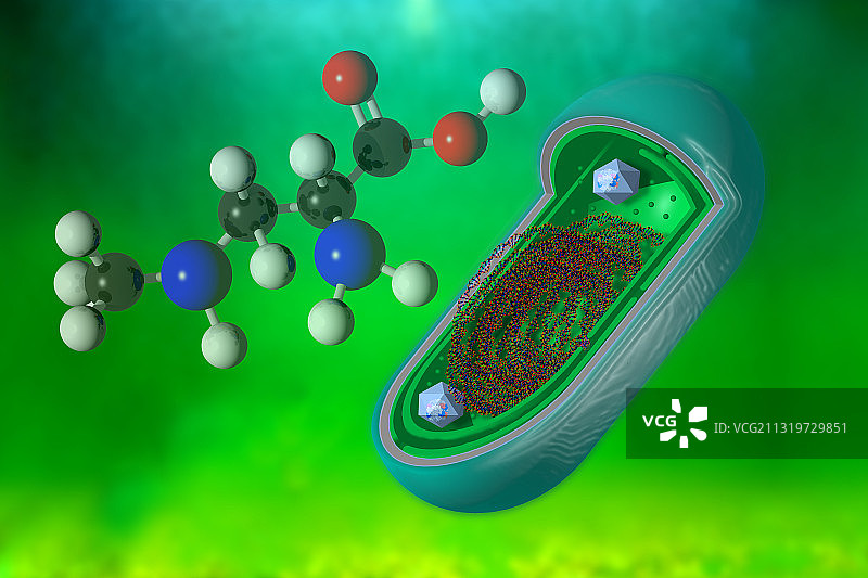 蓝细菌插图图片素材