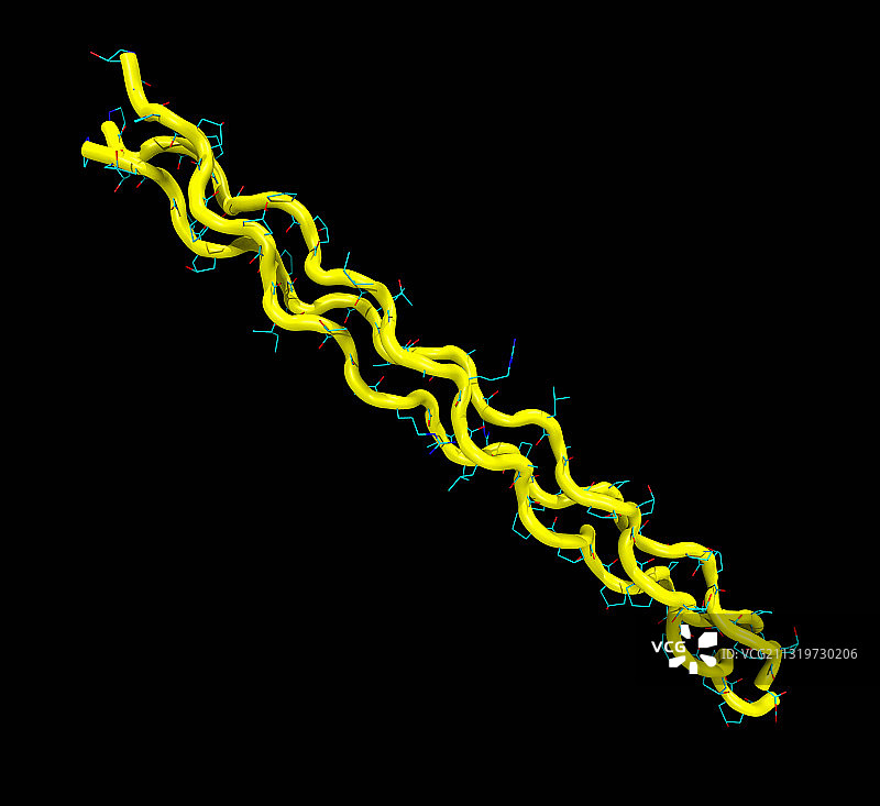 胶原蛋白分子模型图片素材