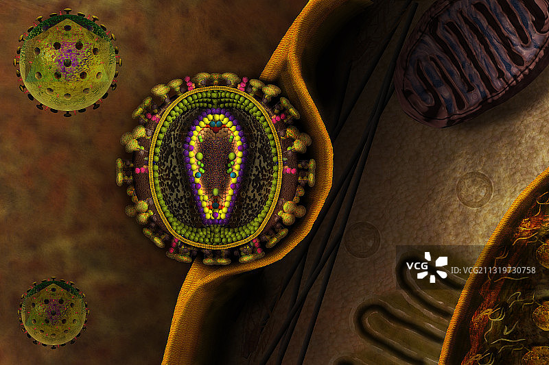 HIV病毒示意图图片素材