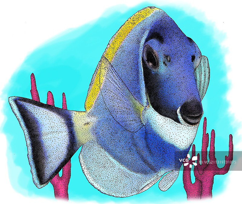 粉蓝色吊篮图片素材