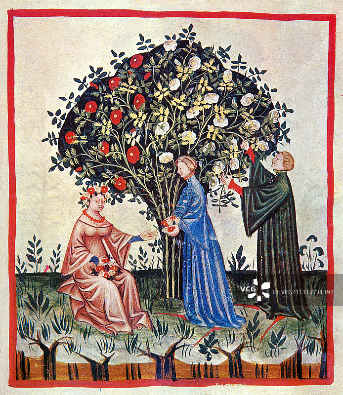 《健康之书》：玫瑰图片素材