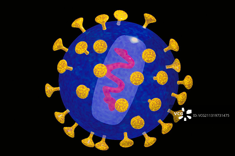 艾滋病病毒图片素材