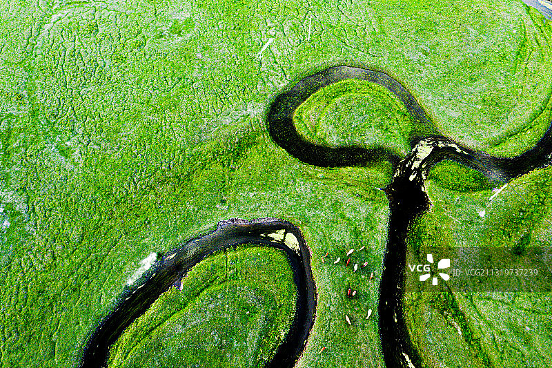 河北沽源滦河源头自然风光图片素材