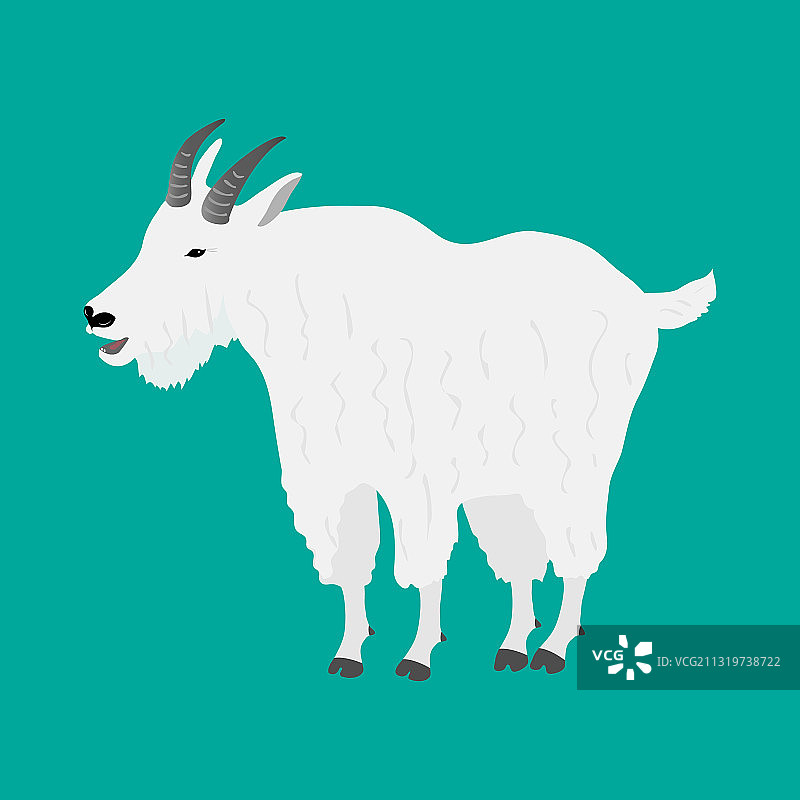 站在绿色背景上的山羊图片素材