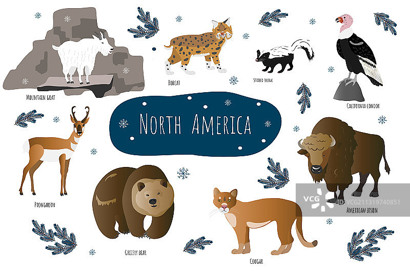 北美动物素材合集图片素材