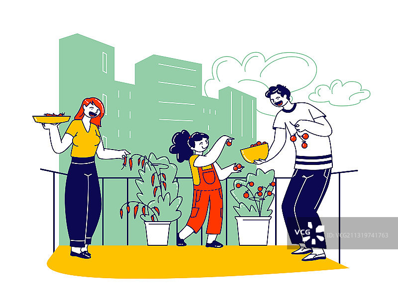 快乐的一家在阳台花园里采摘，母亲也在图片素材