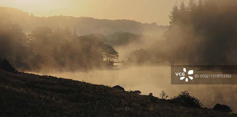 英国斯诺登尼亚国家公园雾天树木的风景图片素材