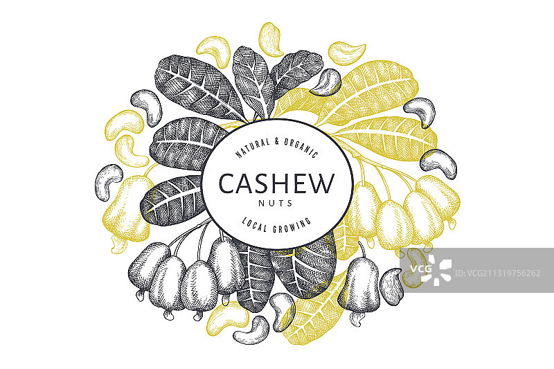 手绘腰果设计模板图片素材