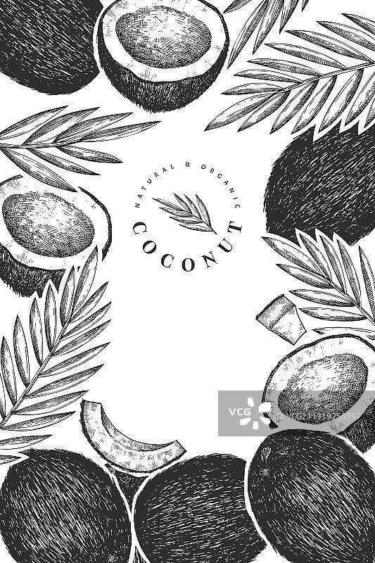 手绘椰子棕榈叶设计模板图片素材