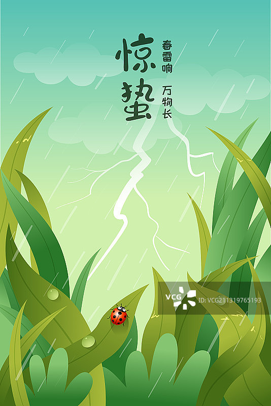 雷雨中一只瓢虫停在叶子上图片素材