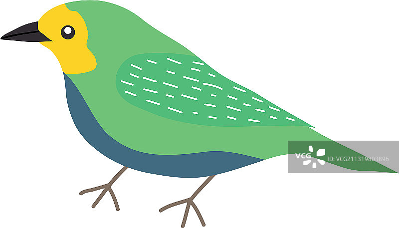 鹡鸰鸟扁平风格图标图片素材