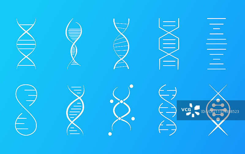 显示螺旋分子的DNA图标集图片素材
