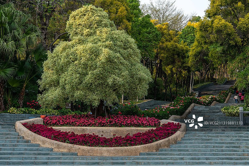 深圳国际园林花卉博览园-园博园图片素材