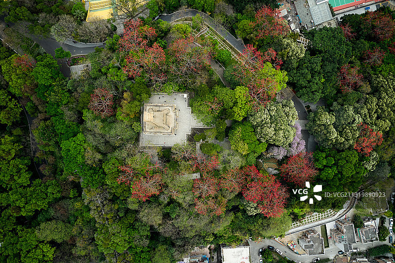 中国广东广州，航拍越秀山上的中山纪念碑图片素材