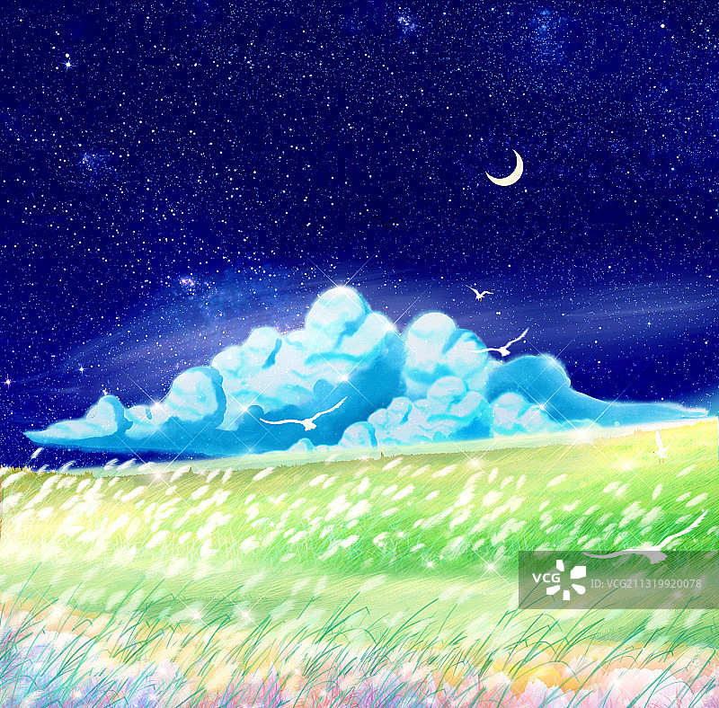 美丽的星空和草原插画背景图片素材