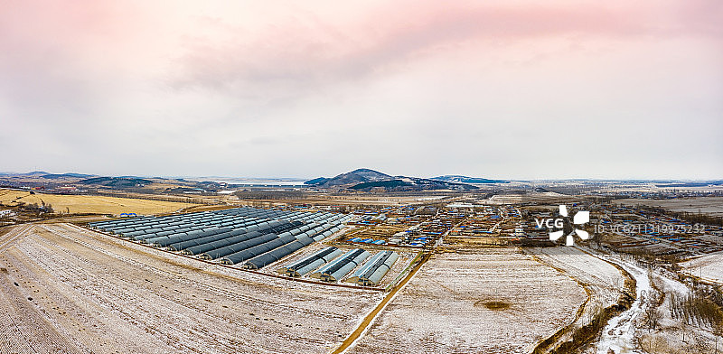北方冬季的蔬菜大棚图片素材