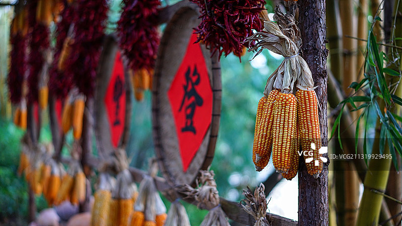 民俗村秋收晾晒农作物图片素材