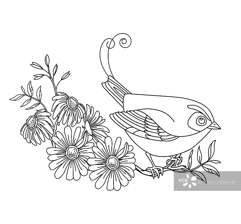 鲜花装饰可爱小鸟图片素材