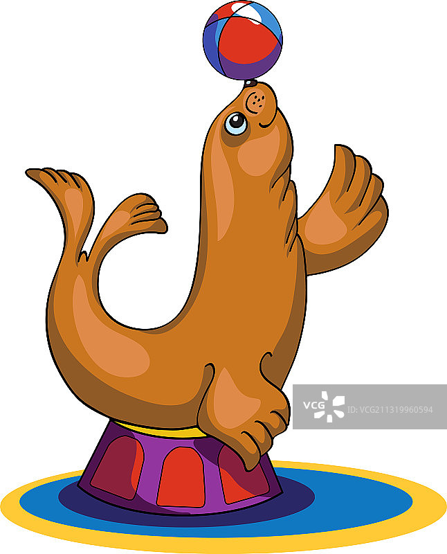 马戏团动物海豹表演图片素材